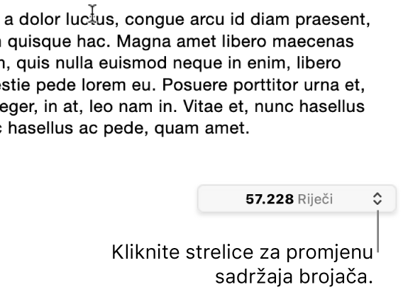 Izbornik s brojem riječi koji prikazuje broj riječi u dokumentu.