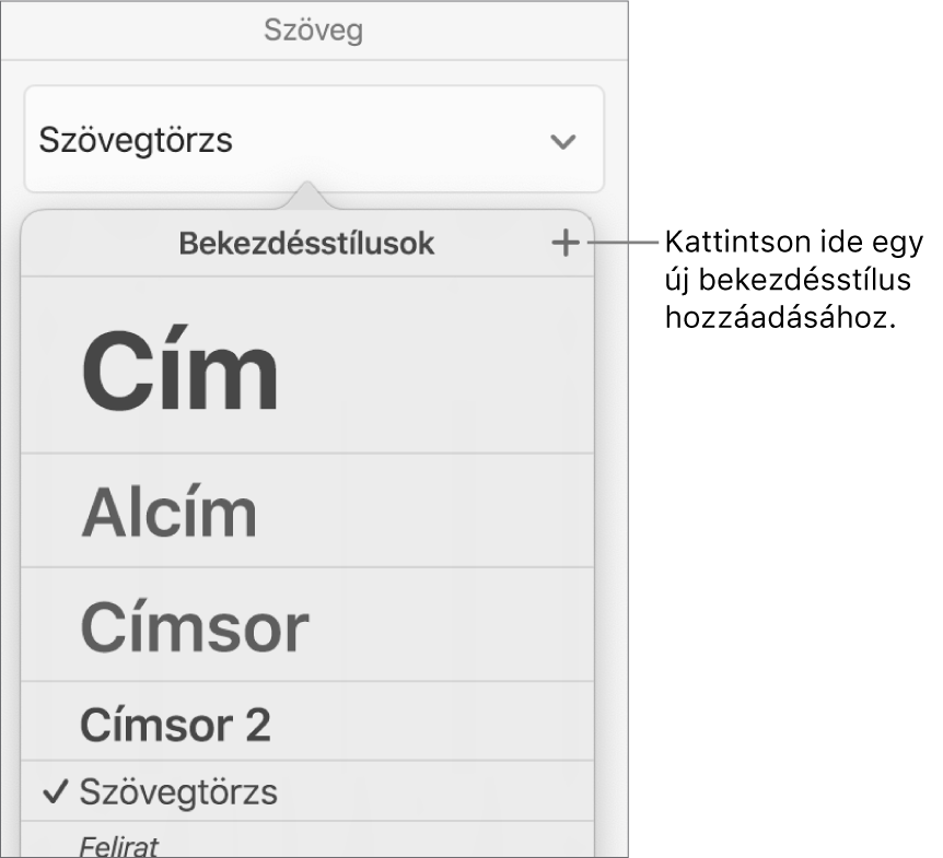 A Bekezdésstílusok menü az Új stílus gombot jelölő felirattal.