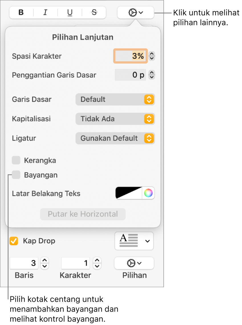 Menu Pilihan Lanjutan terbuka dan menampilkan kotak centang Bayangan yang dipilih dan kontrol untuk mengatur kekaburan, offset, opasitas, sudut, dan warna.