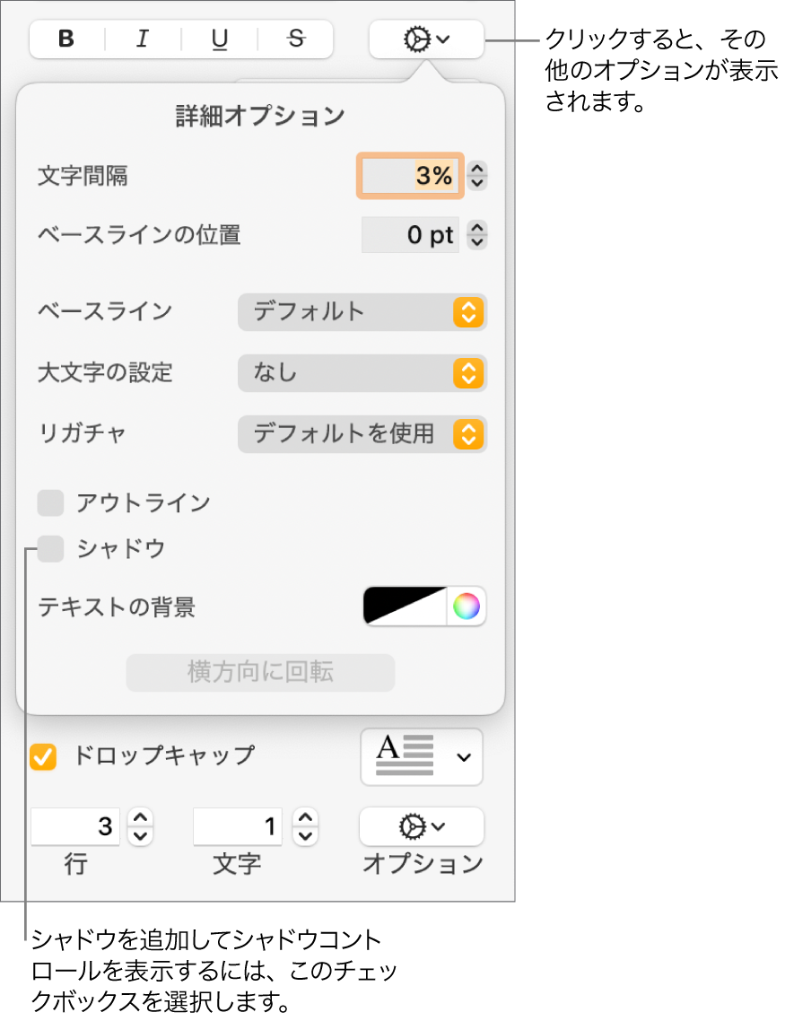 開いている「詳細オプション」メニュー。「シャドウ」チェックボックスが選択されていて、ぼかし、オフセット、不透明度、角度、および色を設定するためのコントロールが表示されている状態。