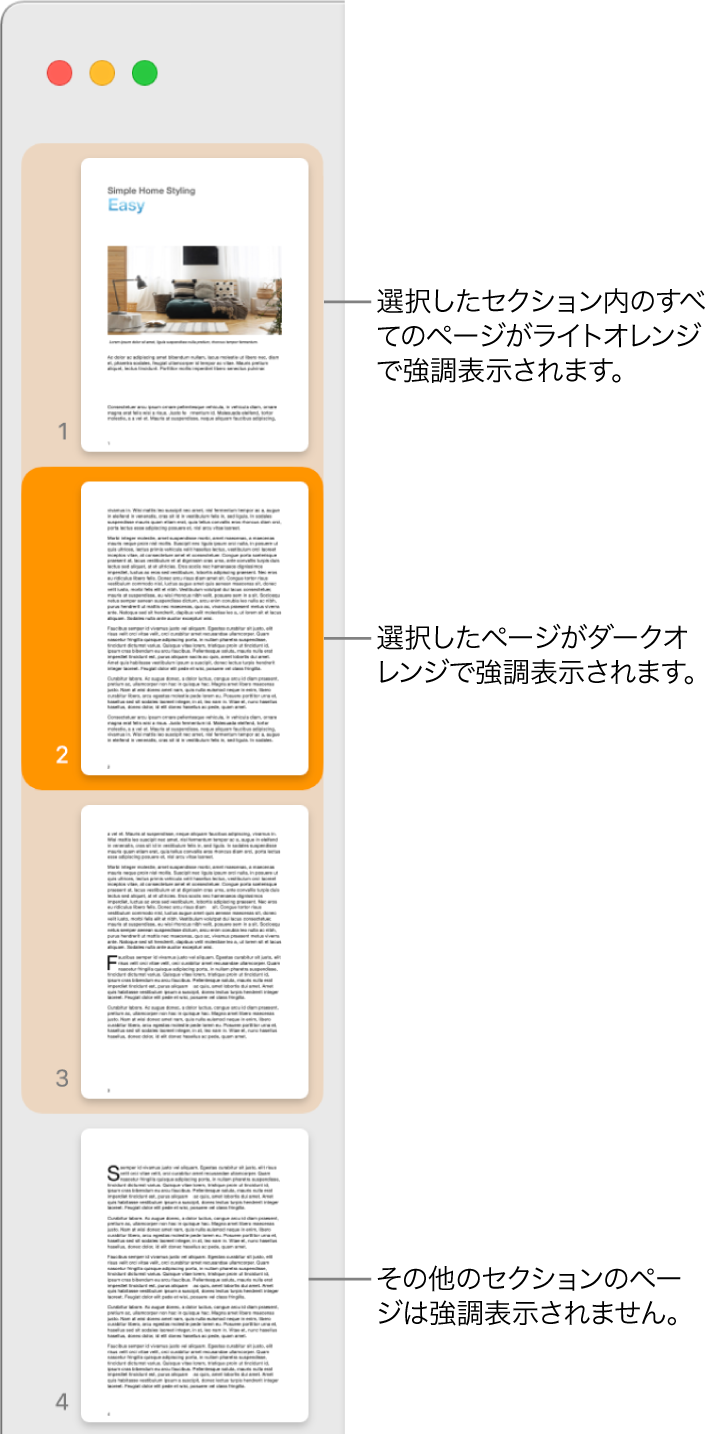 「サムネール表示」サイドバー。選択されたページがダークオレンジでハイライトされ、選択されたセクションのすべてのページがライトオレンジでハイライトされています。