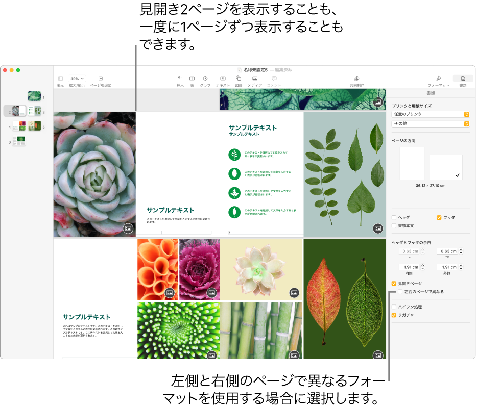 Macのpages書類に見開きページを設定する Apple サポート 日本