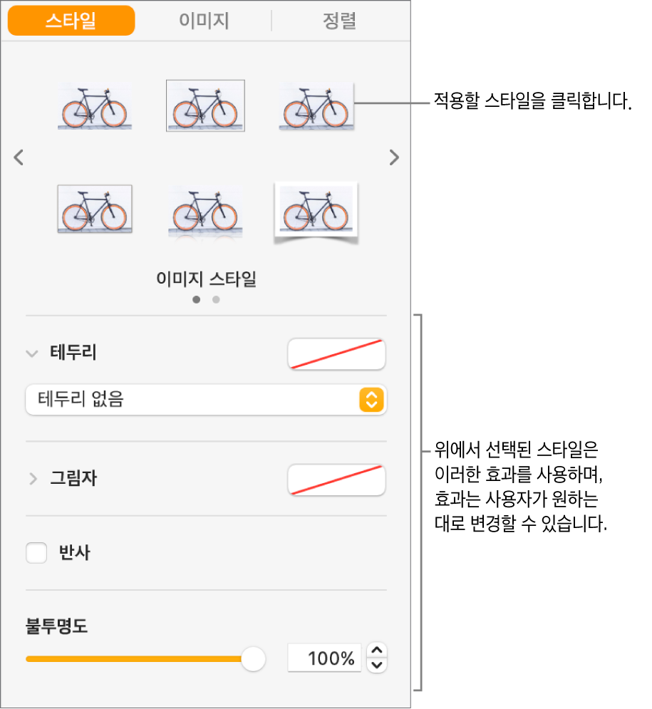 대상체 스타일 옵션을 보여주는 포맷 사이드바의 스타일 탭.