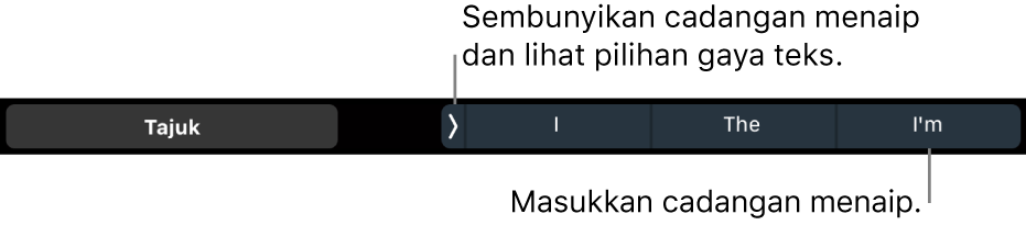 Touch Bar MacBook Pro dengan kawalan untuk memilih gaya teks, menyembunyikan cadangan menaip dan memasukkan cadangan menaip.