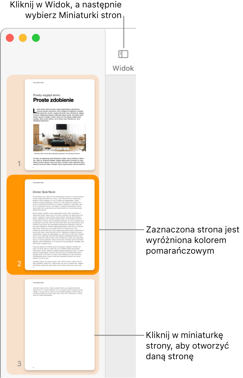 Pasek boczny po lewej stronie okna Pages, wyświetlający widok miniaturek stron. Zaznaczona strona wyróżniona jest kolorem ciemnopomarańczowym.