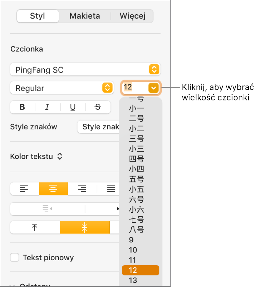 Sekcja Styl na pasku bocznym Format z otworzonym menu podręcznym wielkości czcionki. U góry menu podręcznego widoczne są wielkości czcionek zgodne ze standardem rządowym Chin kontynentalnych. Poniżej znajdują się rozmiary wyrażone w punktach.