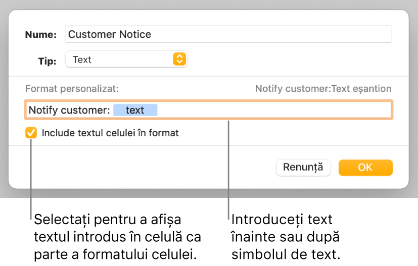 Fereastra de formatare personalizată a celulei, cu comenzi pentru alegerea formatării personalizate a textului.