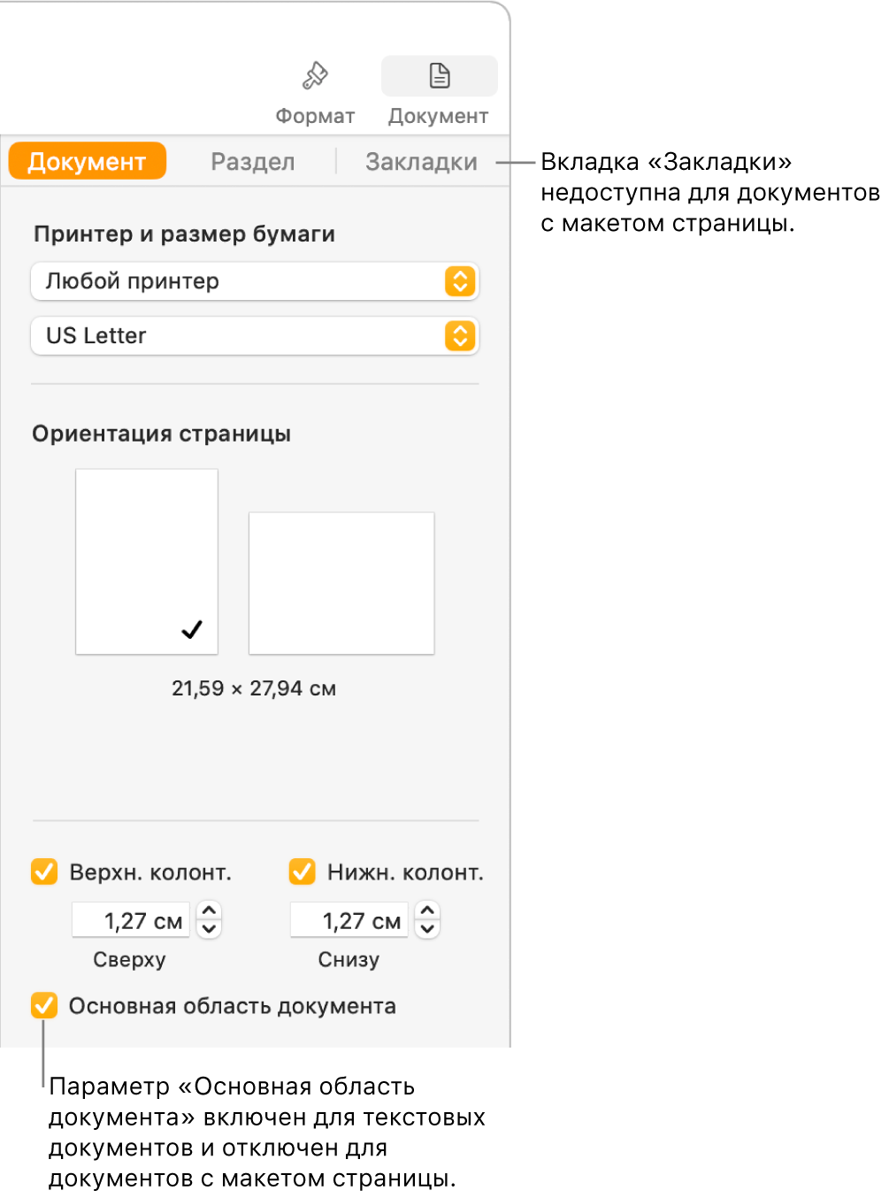 Боковое меню «Формат» со вкладками «Документ» «Раздел» и «Закладки» вверху. Выбрана вкладка «Документ», и в выноске, указывающей на вкладку «Закладки», сказано, что в документах с макетом страницы нет вкладки «Закладки». Установлен флажок «Основная область документа». Это также означает, что документ текстовый.