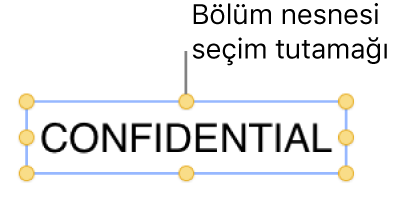 Seçim tutamaklarına sahip nesne.
