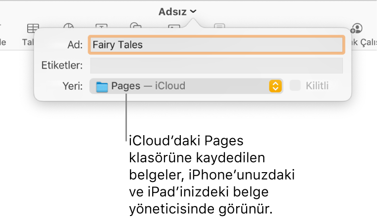 Yer açılır menüsünde Pages—iCloud olan bir belge için Kaydet sorgu kutusu.