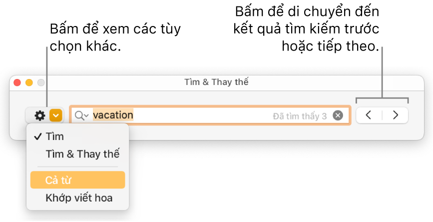 Cửa sổ Tìm & Thay thế với các lời nhắc đến nút để hiển thị các tùy chọn để Tìm, Tìm & Thay thế, Cả từ và Khớp viết hoa; các mũi tên điều hướng ở bên phải.