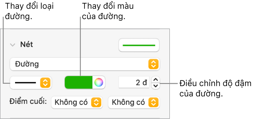 Các điều khiển nét để đặt điểm cuối, độ đậm của đường và màu.