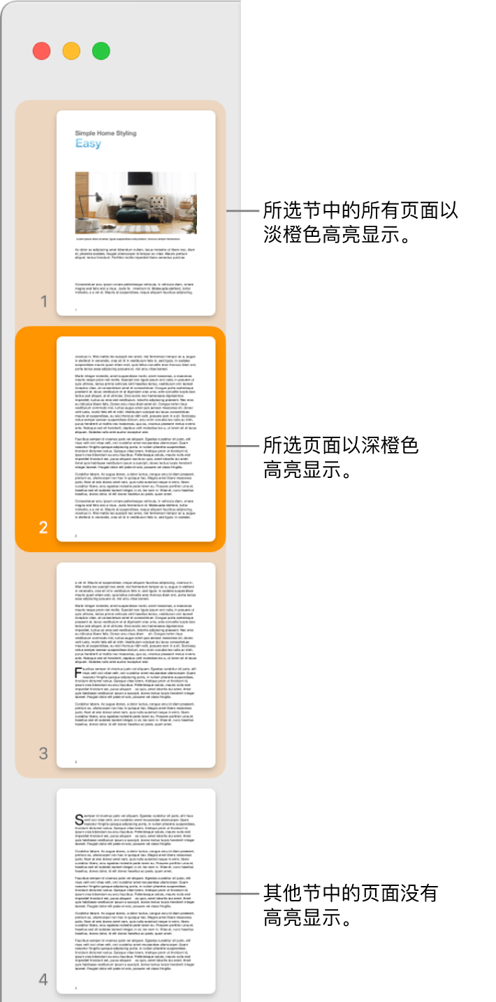 “缩略图视图”边栏，带有以深橙色高亮显示的所选页面以及以浅橙色高亮显示的所选节中的所有页面。