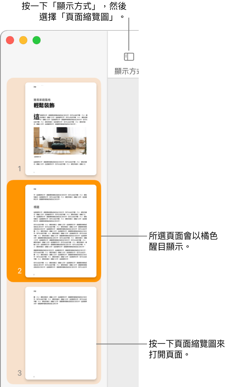 Pages 視窗左側的側邊欄中打開了「頁面縮覽圖」顯示方式，所選取的頁面以深橘色反白顯示。