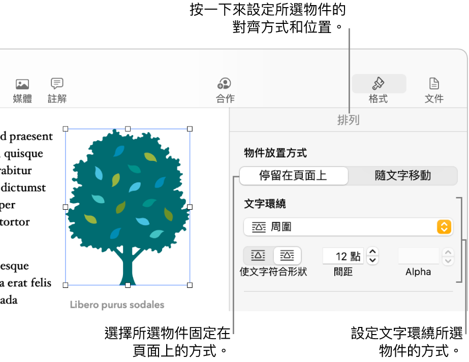 顯示「排列」側邊欄的「格式」選單。「排列」側邊欄的最上方為「物件放置方式」設定，下方為「文字環繞」設定。