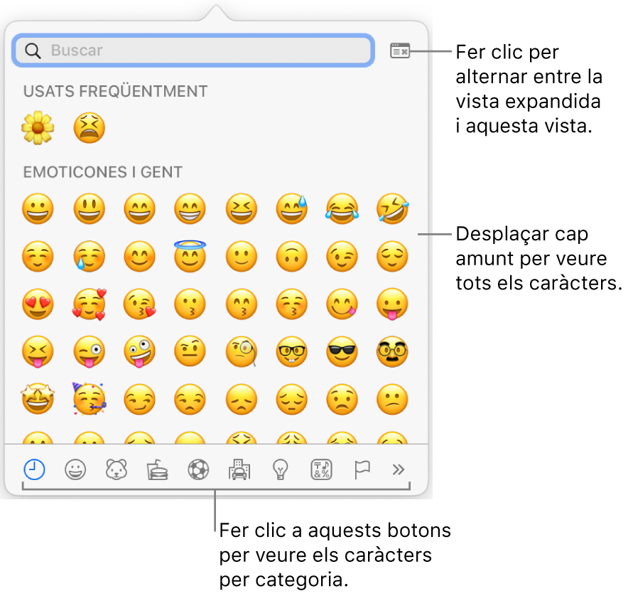 La finestra desplegable “Caràcters especials”, amb emoticones, botons per a diversos tipus de símbols a la part inferior i una llegenda d’un botó per mostrar la finestra “Caràcters especials” completa.