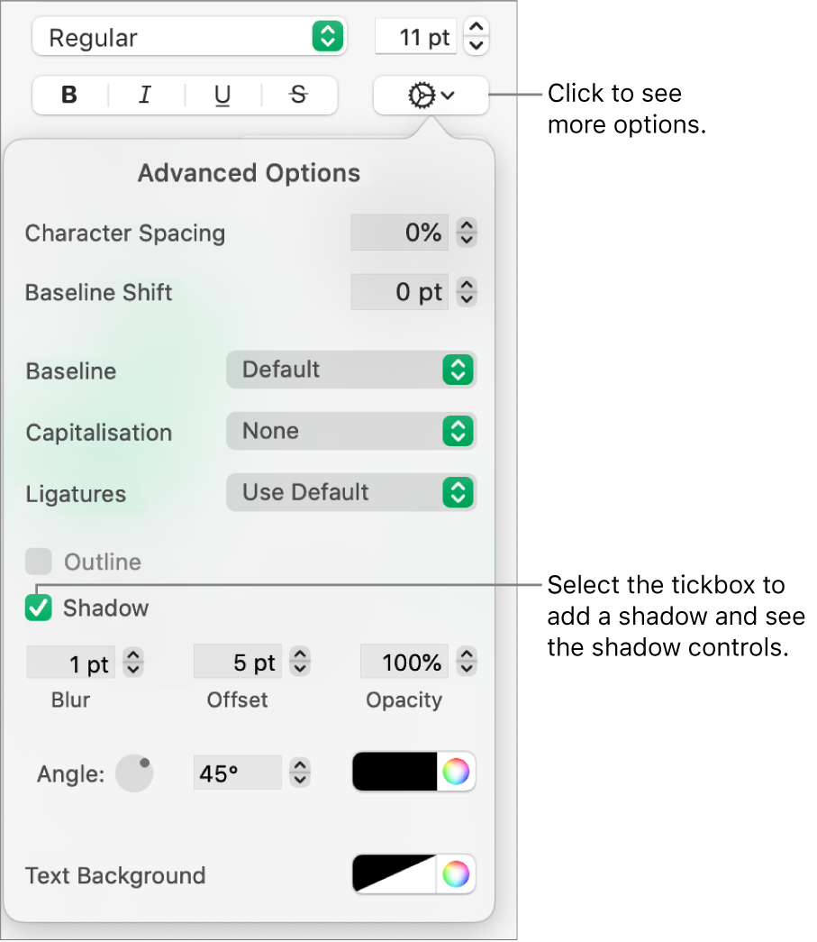 The Advanced Options menu open with the Shadows tickbox selected and controls for setting blur, offset, opacity, angle and colour.