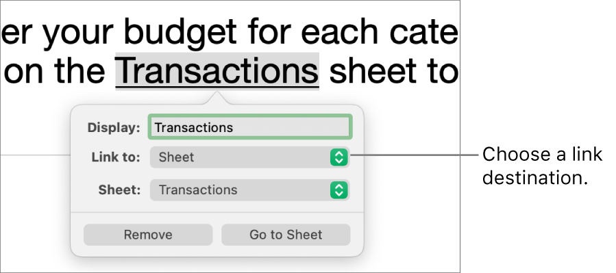 The link editor controls with a Display field, “Link to” pop-up menu (Sheet is selected), and Sheet pop-up menu (a sheet named Liabilities is selected). The Remove and Go to Sheet buttons are at the bottom of the pop-over.