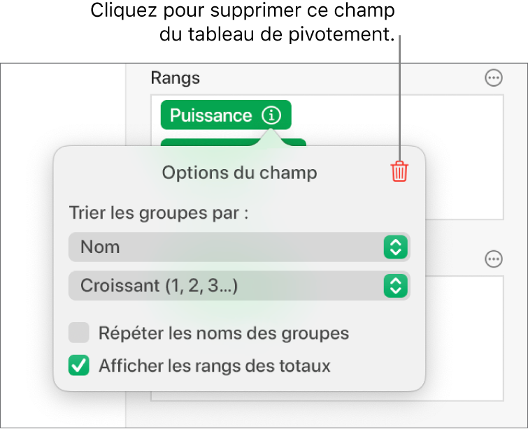 Le menu « Options du champ » affichant les commandes permettant de regrouper et de trier les données, ainsi que l’option de suppression d’un champ.