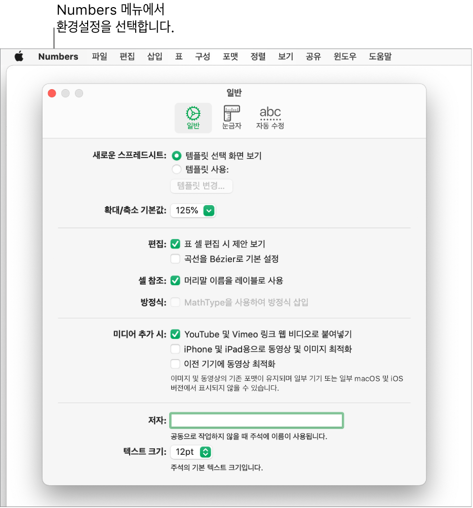 일반 설정 패널을 표시하는 Numbers 환경설정 대화상자.