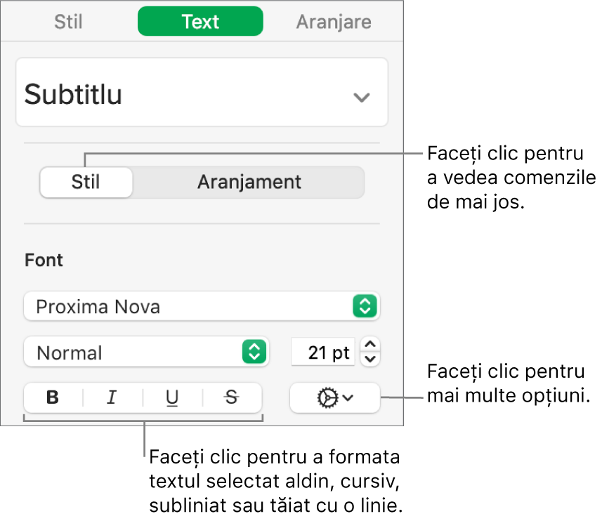 Comenzile pentru Stil din bara laterală cu explicații la butoanele Aldin, Cursiv, Subliniat și Tăiat cu o linie.