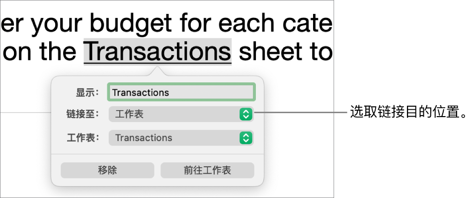 链接编辑器控制，其中包括“显示”栏、“链接至”弹出式菜单（“工作表”被选中）和“工作表”弹出式菜单（名为“债务”的工作表被选中）。“移除”和“前往工作表”按钮位于弹出窗口底部。