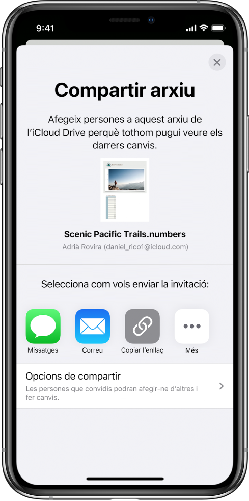 Pantalla “Afegir persones”, que mostra una imatge del full de càlcul que s’ha de compartir. A sota hi ha els botons amb maneres d’enviar la invitació, com ara l’app Missatges i el Mail, “Copiar l’enllaç” i Més. A la part inferior hi ha el botó “Opcions de compartir”.