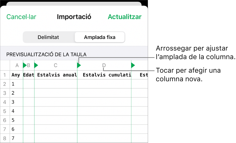 Els paràmetres d’importació d’un arxiu de text d’amplada fixa.