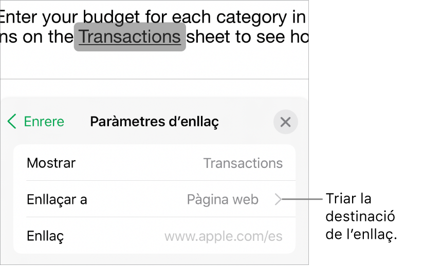 Els controls “Paràmetres d’enllaç” amb els camps Mostrar, “Enllaçar a” (amb l’opció “Pàgina web” seleccionada) i Enllaç. El botó “Eliminar enllaç” a la part inferior.