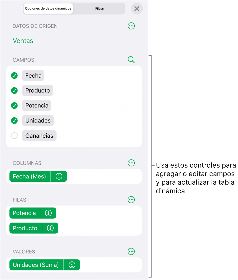 El menú “Opciones de datos dinámicos” mostrando los campos de las secciones Columnas, Filas y Valores, así como los controles para editar los campos.