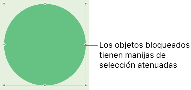 Un objeto bloqueado con manijas de selección atenuadas.