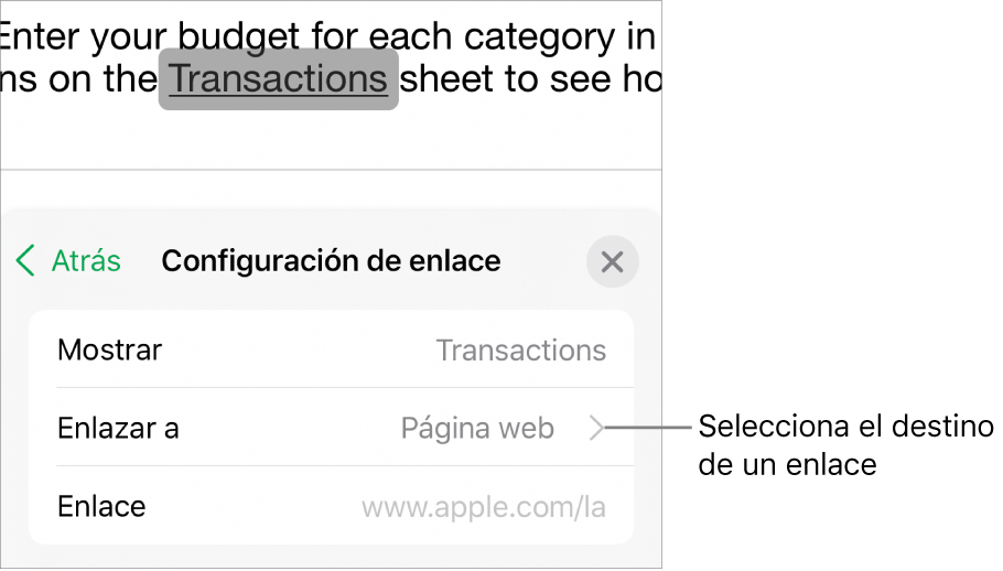 Los controles de “Configuración de enlace” con los campos Mostrar, Enlazar a (“Página web” está seleccionado) y Enlace. En la parte inferior está la opción “Eliminar enlace”.