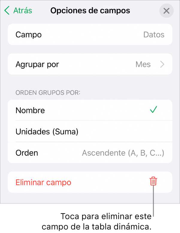 El menú “Opciones de campos”, mostrando los controles para agrupar y clasificar los datos, así como la opción para eliminar un campo.