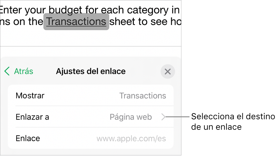 Los controles de “Ajustes de enlace” con un campo Mostrar, “Enlazar a” (ajustado a “Página web”) y Enlace. El botón “Eliminar enlace” aparece en la parte inferior.