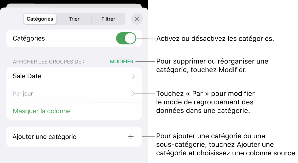 Le menu Catégories pour l’iPhone avec des options pour désactiver des catégories, supprimer des catégories, regrouper des données, masquer une colonne source et ajouter des catégories.