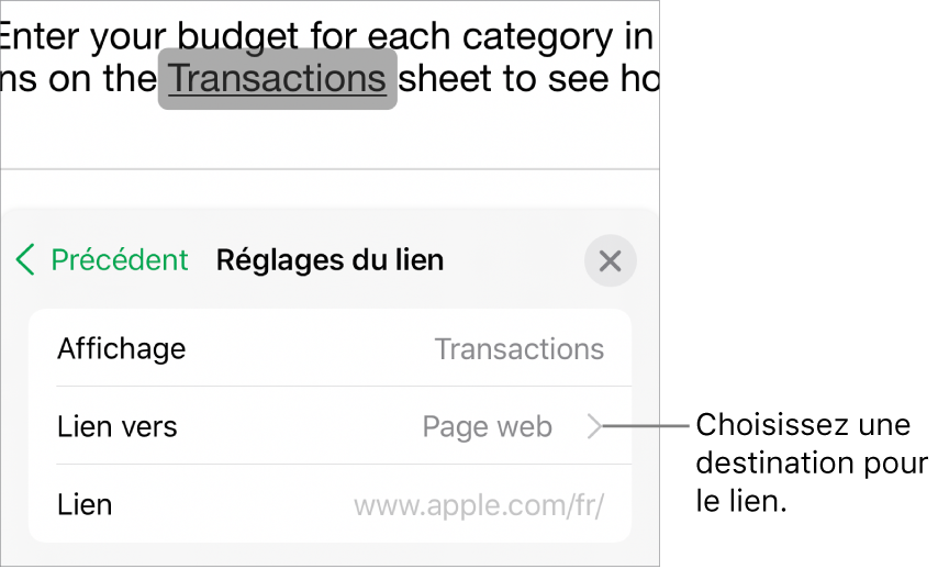 Les commandes « Réglages du lien » avec les champs Afficher, « Lier vers » (défini sur « Page web ») et Lien. Le bouton « Supprimer le lien » est situé en bas.