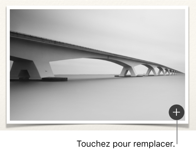 Illustration d’un bouton Remplacer l’image.