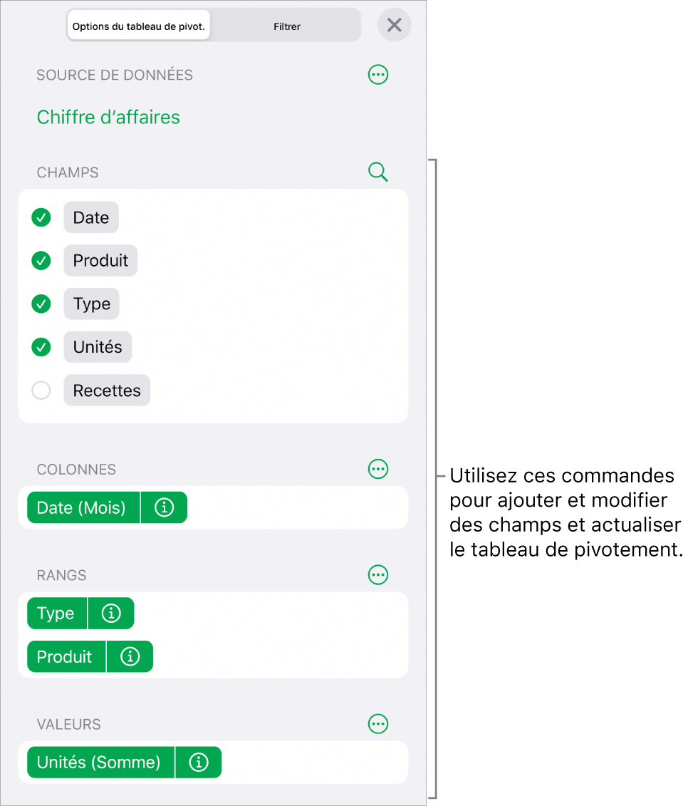 Le menu « Options du tableau de pivotement » affichant des champs dans les sections Colonnes, Rangs et Valeurs, ainsi que des commandes permettant de modifier les champs.