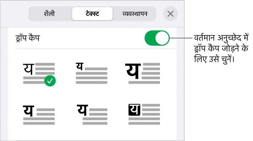 ड्रॉप कैप नियंत्रण, टेक्स्ट मेनू के नीचे होते हैं।