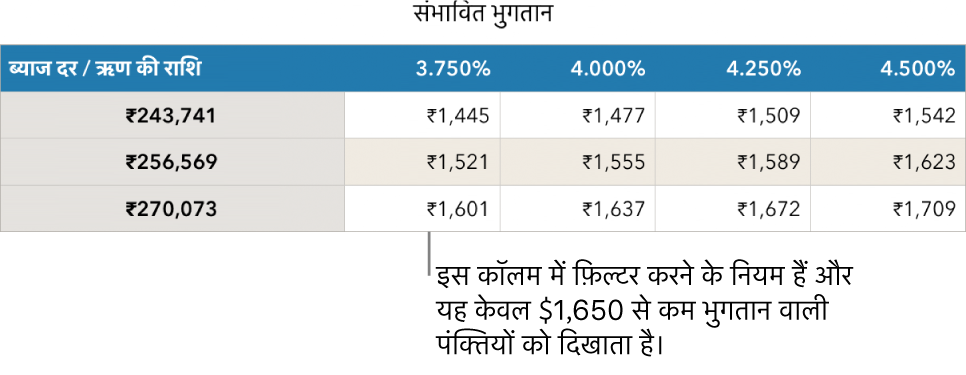 किफ़ायती ब्याज़ दरों के लिए फ़िल्टर करने के बाद प्रदर्शित बंधक तालिका।