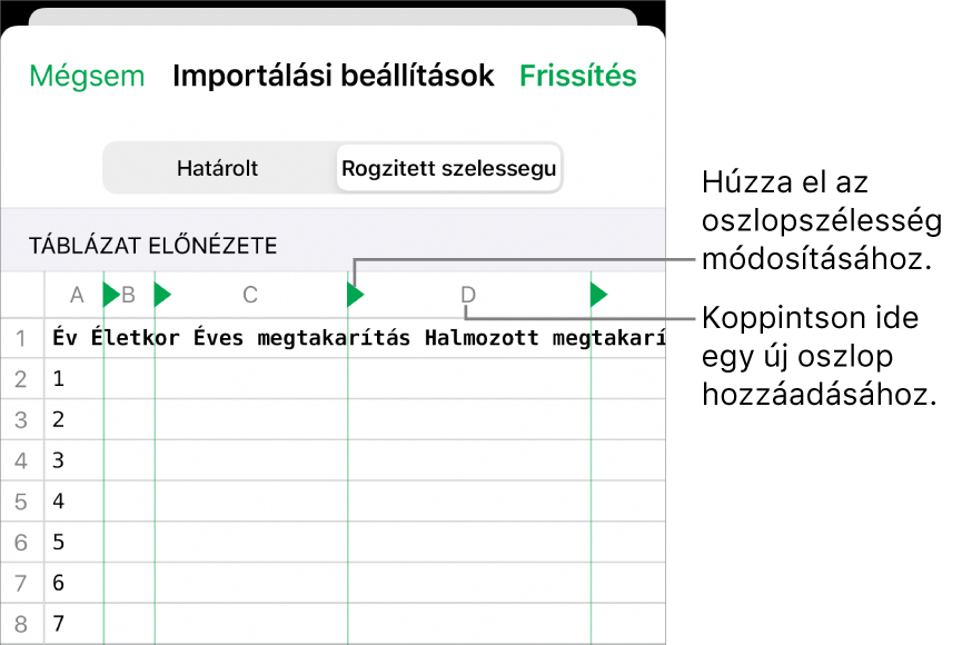 A rögzített szélességű szövegfájlok importálási beállításai.