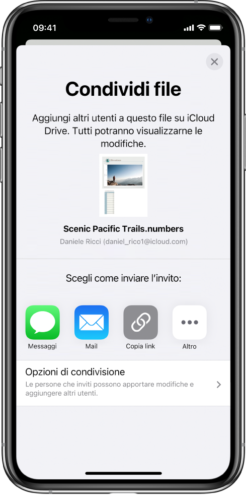 La schermata “Aggiungi persone” che mostra un’immagine del foglio di calcolo da condividere. Al di sotto ci sono i pulsanti delle modalità per inviare l’invito, che includono Messaggi, Mail, “Copia link” e Altro. Nella parte inferiore c’è il pulsante “Opzioni di condivisione”.