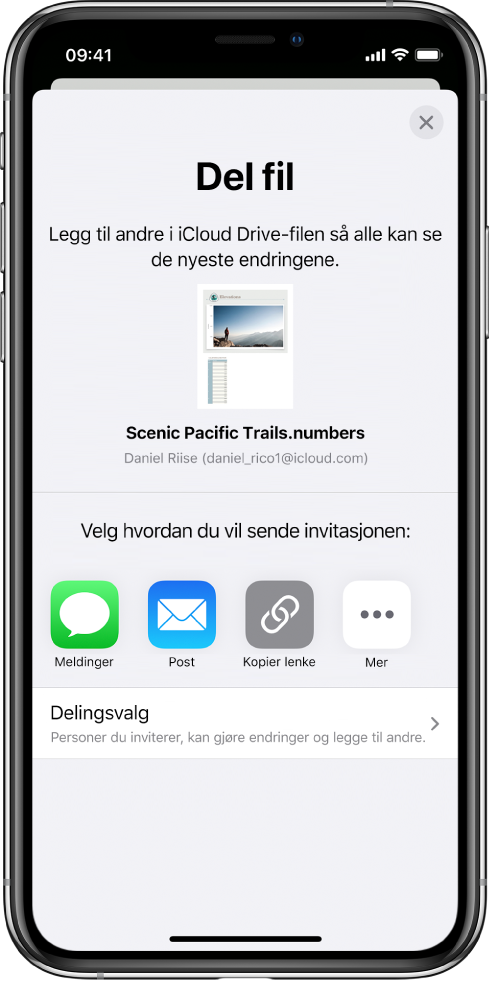 Legg til personer-skjermen som viser et bilde av regnearket som skal deles. Nedenfor er knapper for ulike måter å sende invitasjonen på, blant annet Meldinger og Mail, Kopier lenke og Mer. Delingsvalg-knappen er nederst.