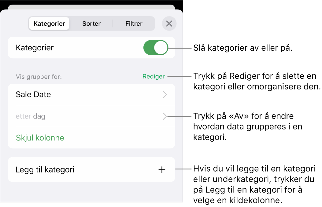 Kategorier-menyen for iPhone med alternativer for å slå av kategorier, slette kategorier, omgruppere data, skjule en kildekolonne og legge til kategorier.