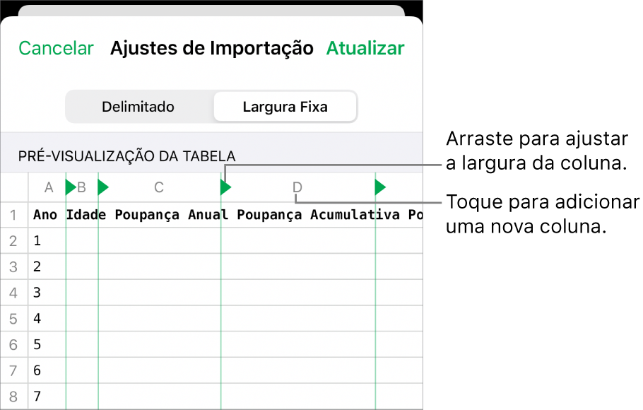 Ajustes de importação para um arquivo de texto de largura fixa.