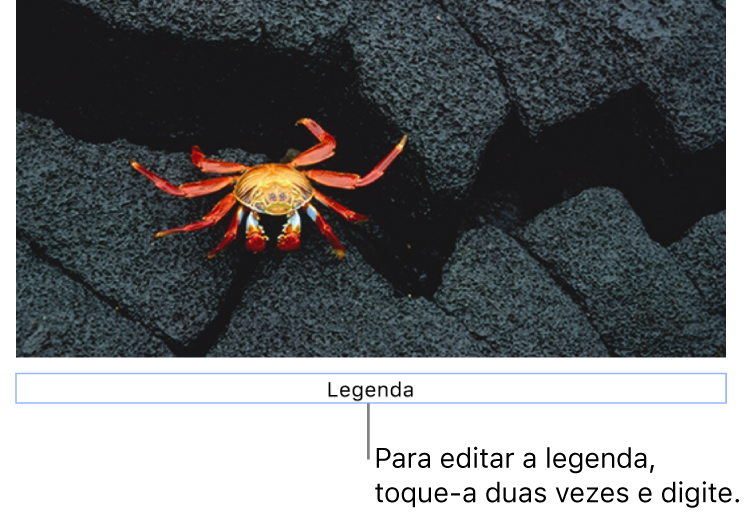 O marcador de posição de legenda, “Legenda”, aparece abaixo de uma foto. Um contorno azul ao redor do campo de legenda mostra que ele está selecionado.