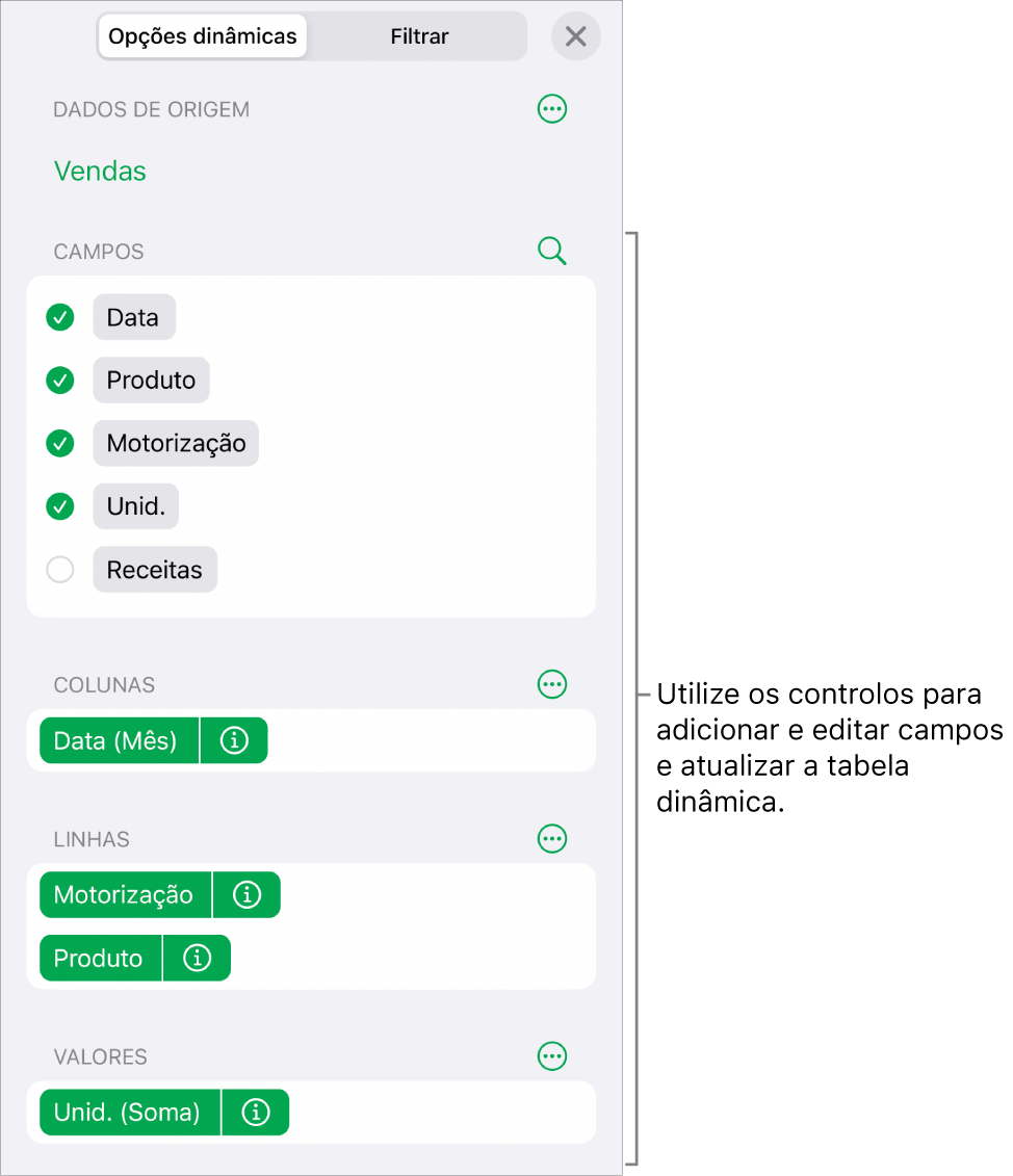 O menu Opções dinâmicas a mostrar campos nas secções Colunas, Linhas e Valores, bem como os controlos para editar os campos.