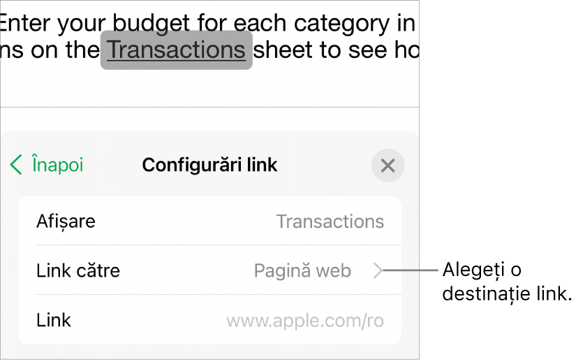 Comenzile din Configurări link cu câmpuri pentru Afișare, Link către (este selectată opțiunea Pagină web) și Link. În partea de jos se află butonul Eliminați linkul.