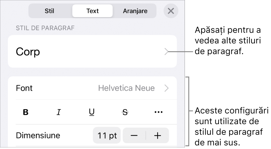 Meniul Format afișând comenzi de text pentru configurarea stilurilor, fonturilor, dimensiunii și culorii paragrafelor și caracterelor.