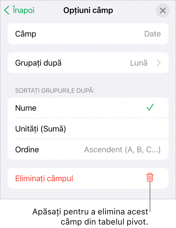 Meniul Opțiuni câmp afișând comenzile pentru gruparea și sortarea datelor și opțiunea de eliminare a unui câmp.